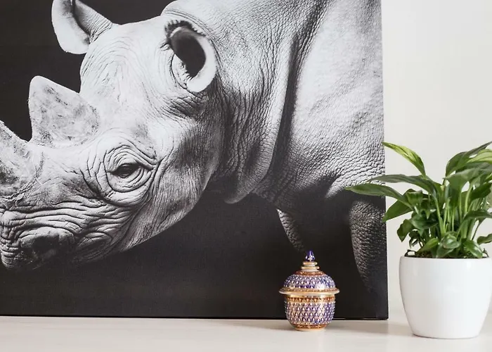 Bubbles Penthouse With Jacuzzi بودْسْتغانا